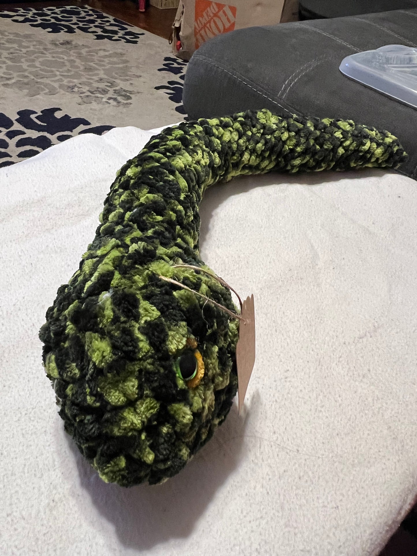 Snake with green eyes